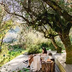 Cooking And Nature - Emotional Alvados