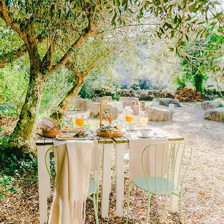 Cooking And Nature - Emotional Otel