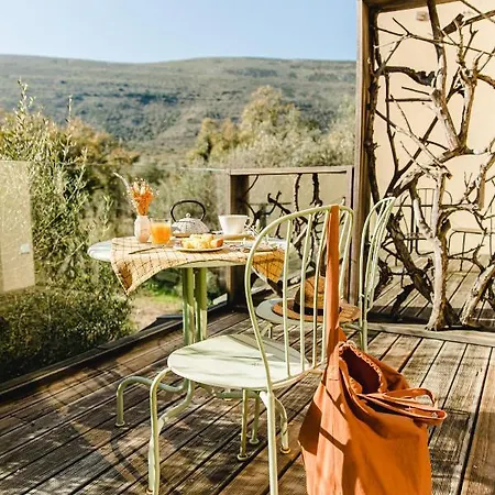 Cooking And Nature - Emotional