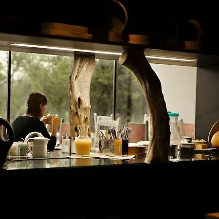 Cooking And Nature - Emotional Hotel