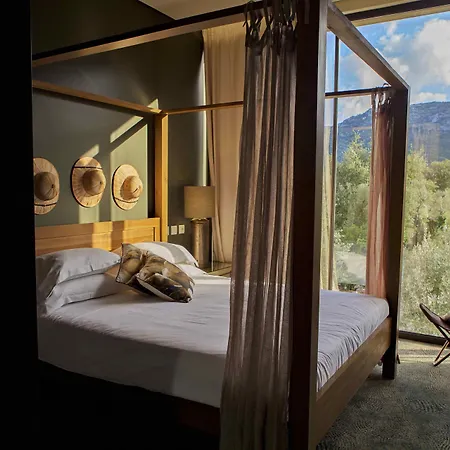 Otel Cooking And Nature - Emotional