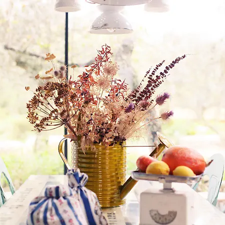 Cooking And Nature - Emotional 4*