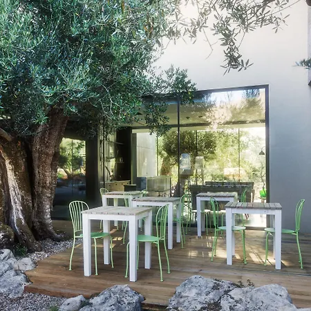 Cooking And Nature - Emotional 4* Alvados