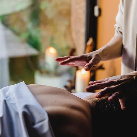 Cooking And Nature - Emotional Alvados