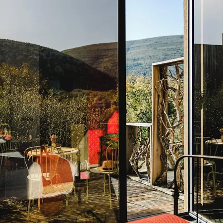 Cooking And Nature - Emotional Alvados