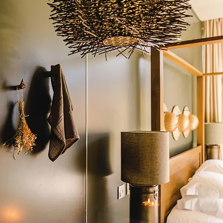 Cooking And Nature - Emotional Otel