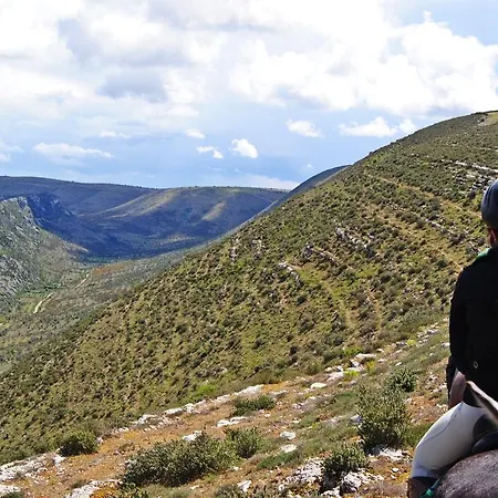 Otel Cooking And Nature - Emotional Alvados