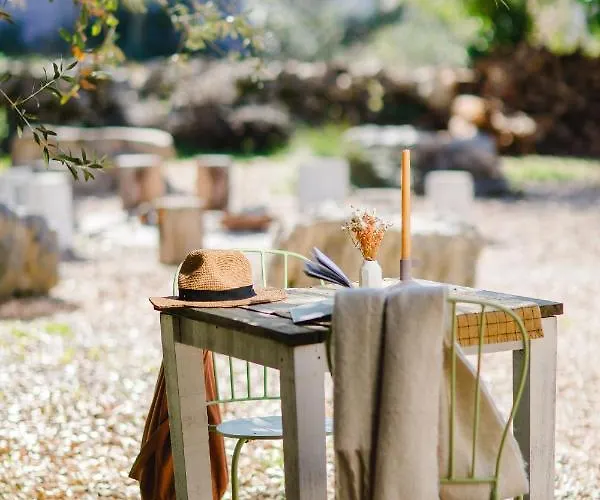 Otel Cooking And Nature - Emotional