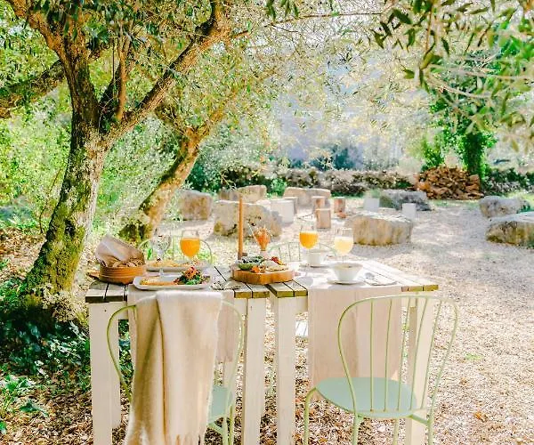 Cooking And Nature - Emotional Otel