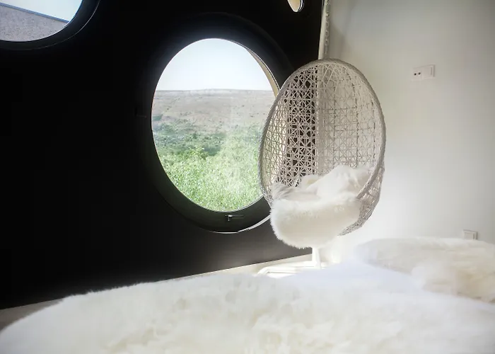 Otel Cooking And Nature - Emotional