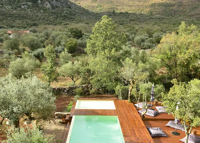 Cooking And Nature - Emotional Otel
