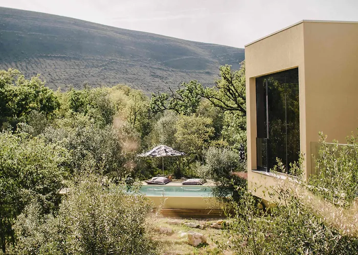 Cooking And Nature - Emotional Otel Alvados