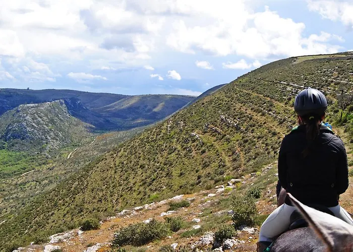 Otel Cooking And Nature - Emotional Alvados